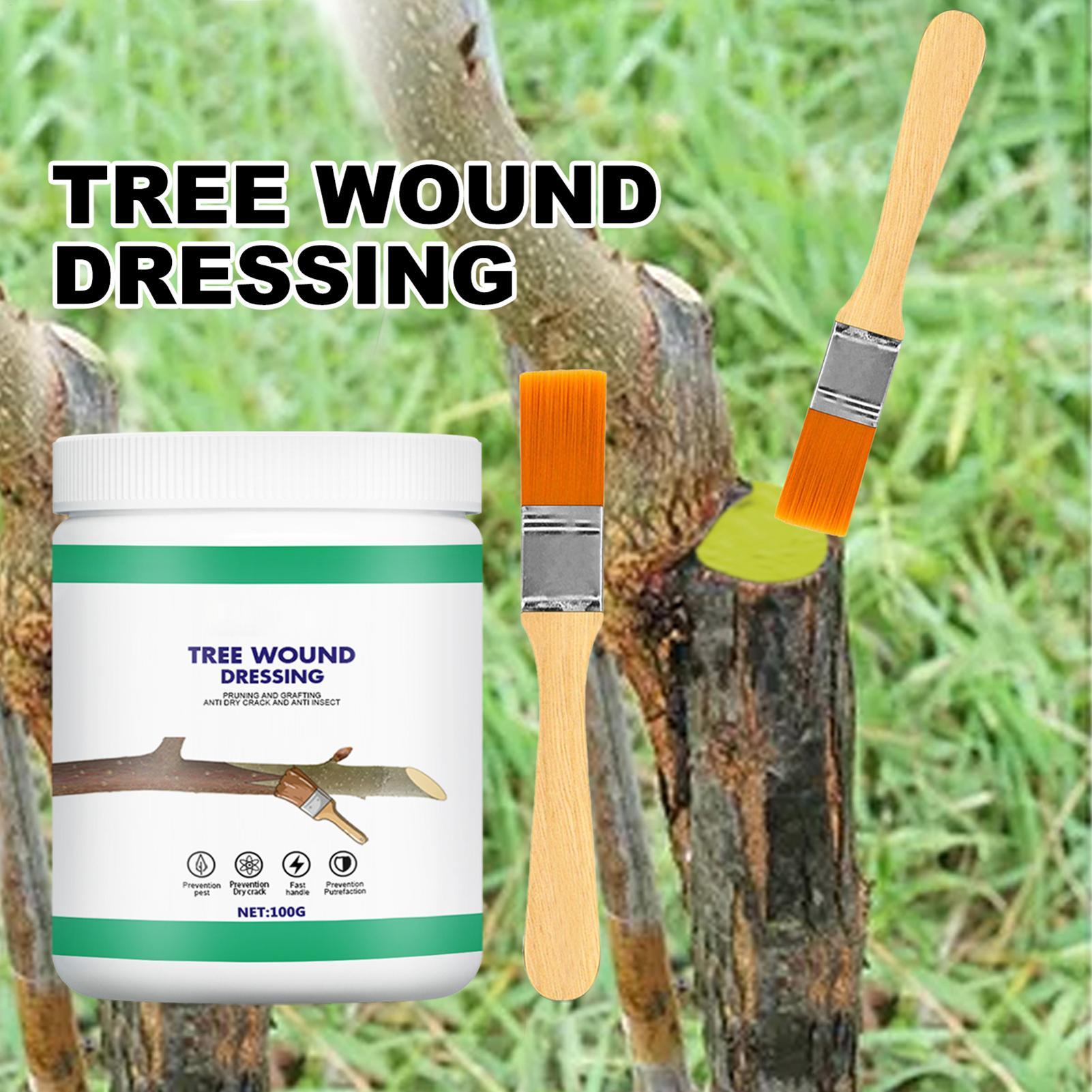 Paint Brush - Pâte protectrice pour élagage 100g avec
